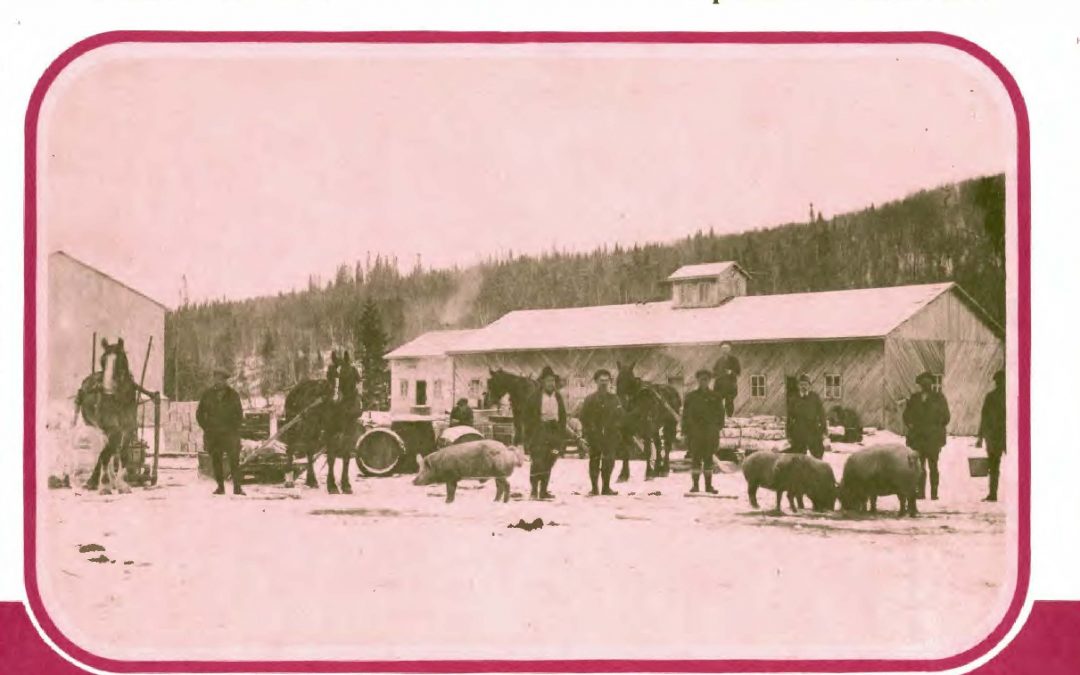 Saguenayensia, Volume 19, no 04, 1977Varia