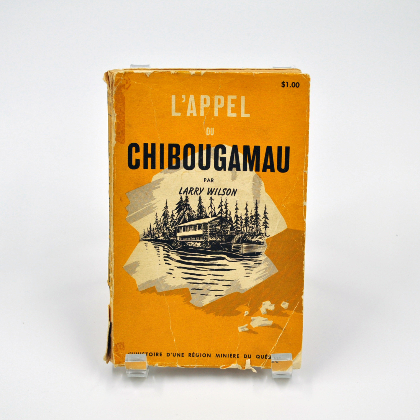 L'appel de Chibougamau : L'histoire d'une région minière du Québec
